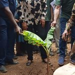 Waste to Wealth: Zoomlion Kenya Turns Dandora School into Sustainability Hub
